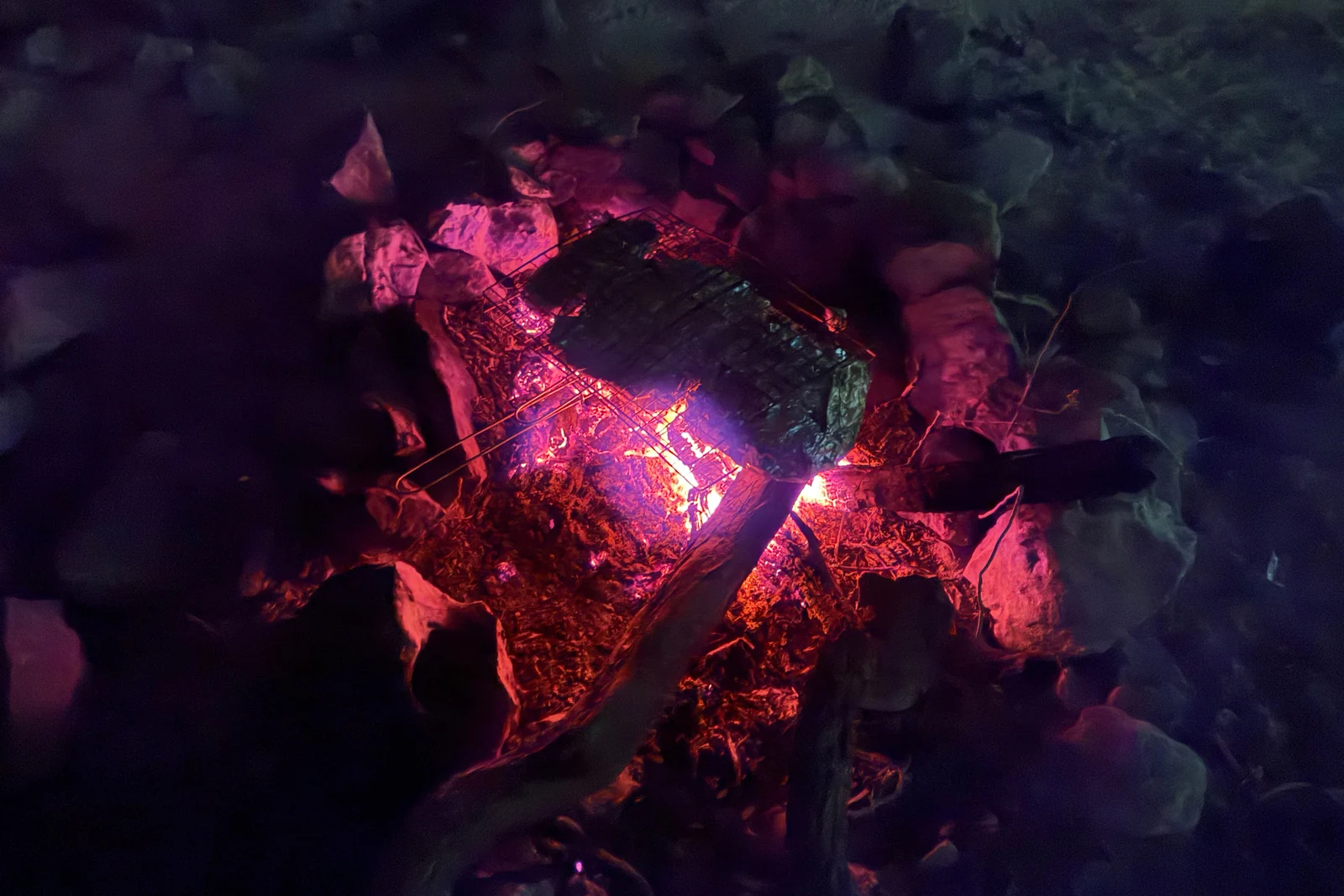 Goat cooking over glowing coals during an outdoor barbecue